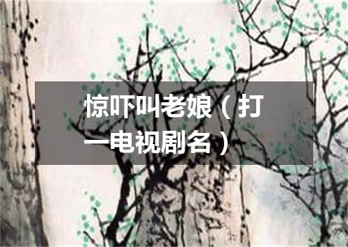 惊吓叫老娘（打一电视剧名）