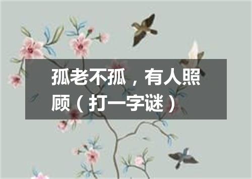 孤老不孤，有人照顾（打一字谜）