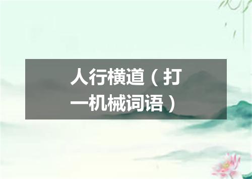 人行横道（打一机械词语）