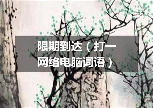 限期到达（打一网络电脑词语）