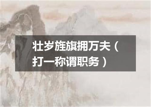 壮岁旌旗拥万夫（打一称谓职务）