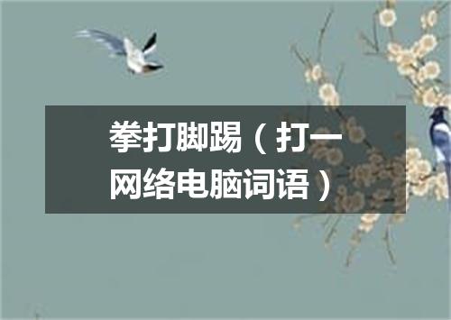 拳打脚踢（打一网络电脑词语）