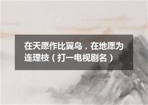 在天愿作比翼鸟，在地愿为连理枝（打一电视剧名）