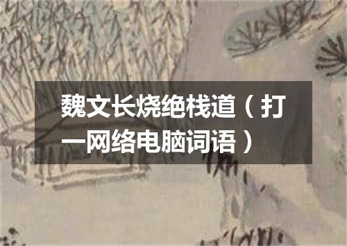 魏文长烧绝栈道（打一网络电脑词语）