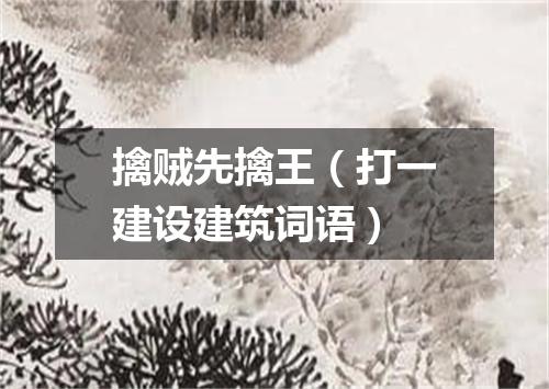 擒贼先擒王（打一建设建筑词语）