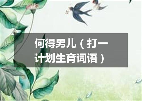 何得男儿（打一计划生育词语）