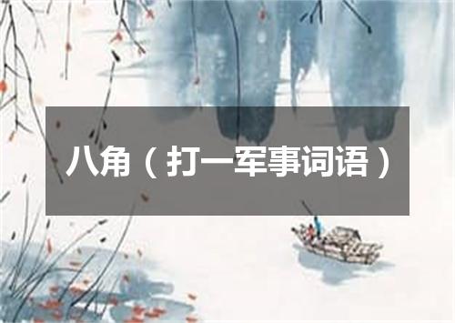 八角（打一军事词语）