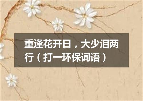 重逢花开日，大少泪两行（打一环保词语）