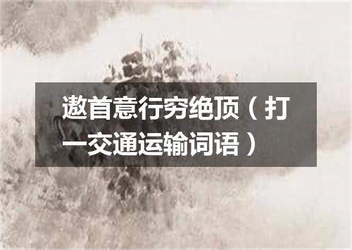 遨首意行穷绝顶（打一交通运输词语）