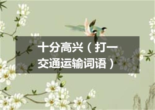 十分高兴（打一交通运输词语）