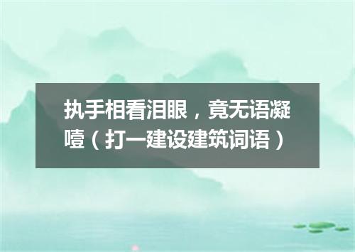 执手相看泪眼，竟无语凝噎（打一建设建筑词语）