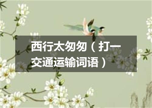 西行太匆匆（打一交通运输词语）