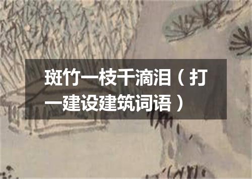 斑竹一枝千滴泪（打一建设建筑词语）