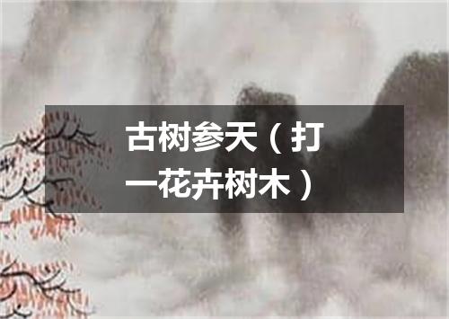 古树参天（打一花卉树木）
