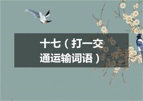 十七（打一交通运输词语）