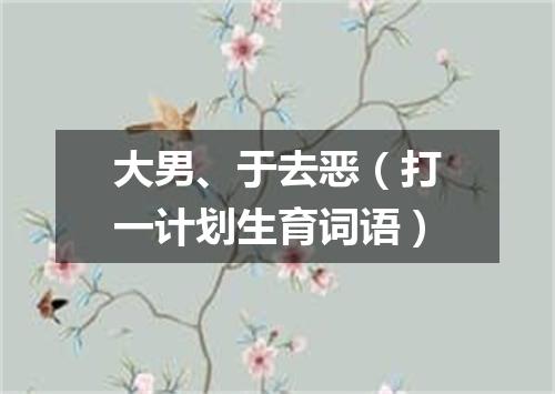大男、于去恶（打一计划生育词语）