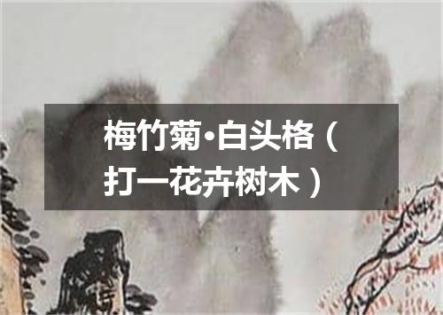 梅竹菊·白头格（打一花卉树木）