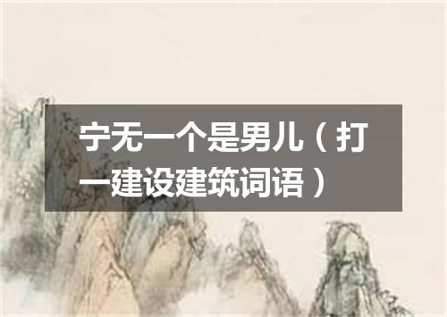 宁无一个是男儿（打一建设建筑词语）