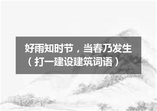 好雨知时节，当春乃发生（打一建设建筑词语）