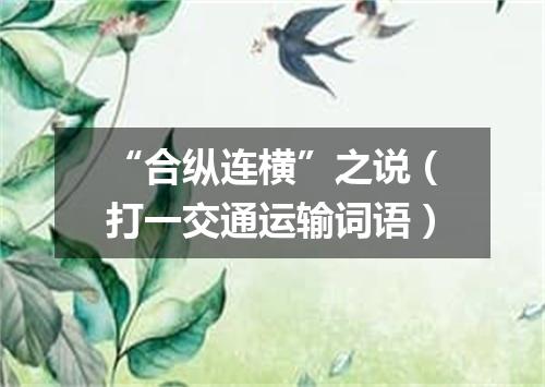 “合纵连横”之说（打一交通运输词语）