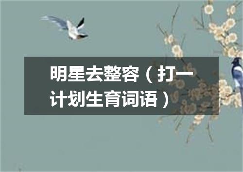 明星去整容（打一计划生育词语）