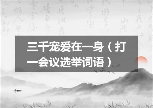 三千宠爱在一身（打一会议选举词语）