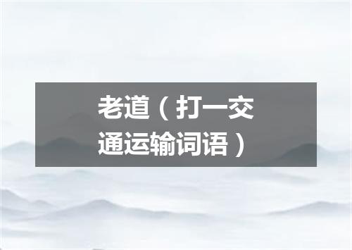 老道（打一交通运输词语）