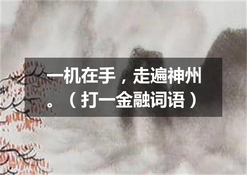 一机在手，走遍神州。（打一金融词语）