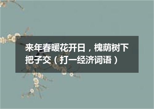 来年春暖花开日，槐荫树下把子交（打一经济词语）