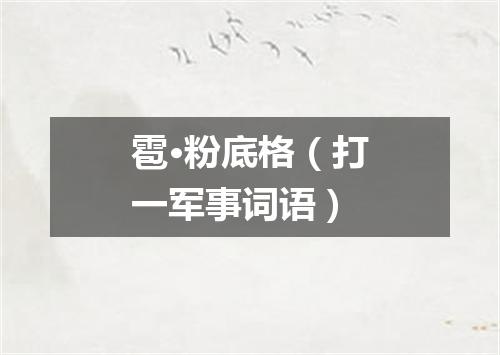 雹·粉底格（打一军事词语）