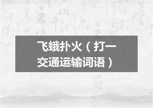 飞蛾扑火（打一交通运输词语）