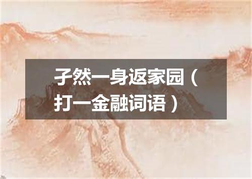 孑然一身返家园（打一金融词语）