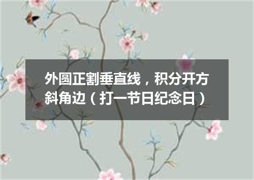 外圆正割垂直线，积分开方斜角边（打一节日纪念日）