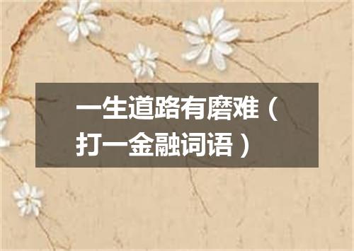 一生道路有磨难（打一金融词语）