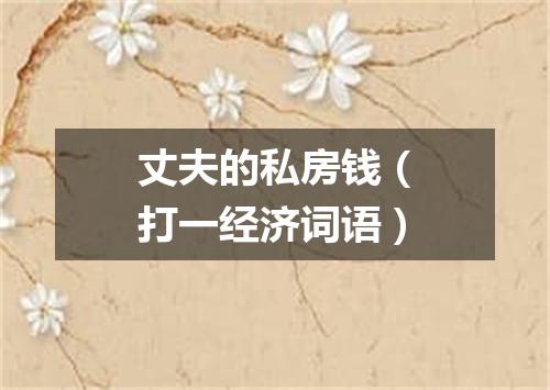 丈夫的私房钱（打一经济词语）