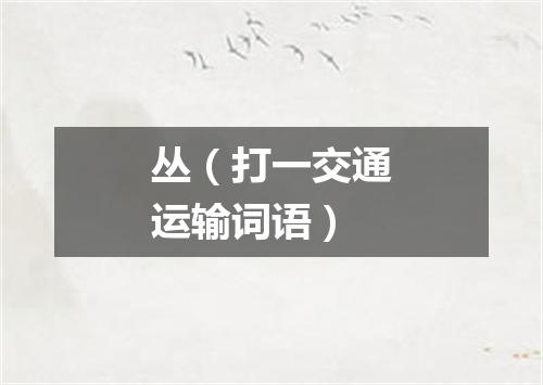 丛（打一交通运输词语）