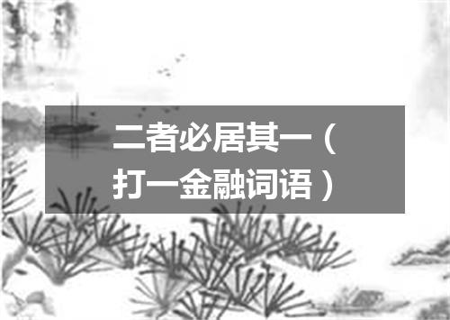 二者必居其一（打一金融词语）