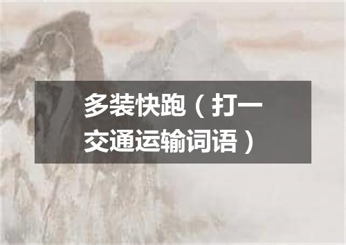 多装快跑（打一交通运输词语）