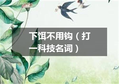 下饵不用钩（打一科技名词）