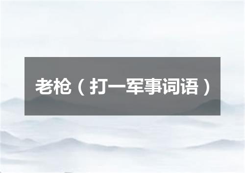 老枪（打一军事词语）