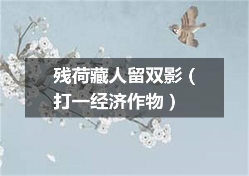 残荷藏人留双影（打一经济作物）