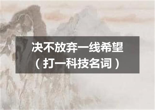 决不放弃一线希望（打一科技名词）