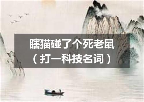 瞎猫碰了个死老鼠（打一科技名词）