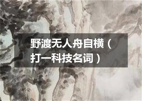 野渡无人舟自横（打一科技名词）