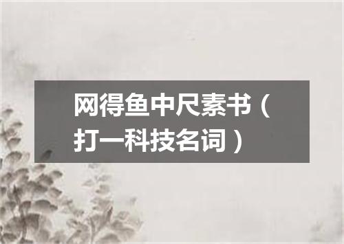 网得鱼中尺素书（打一科技名词）