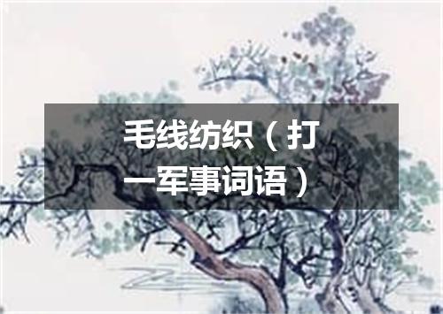 毛线纺织（打一军事词语）