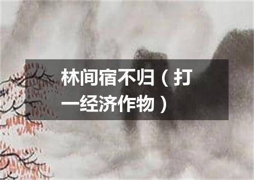 林间宿不归（打一经济作物）