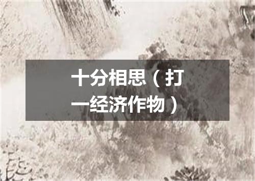 十分相思（打一经济作物）