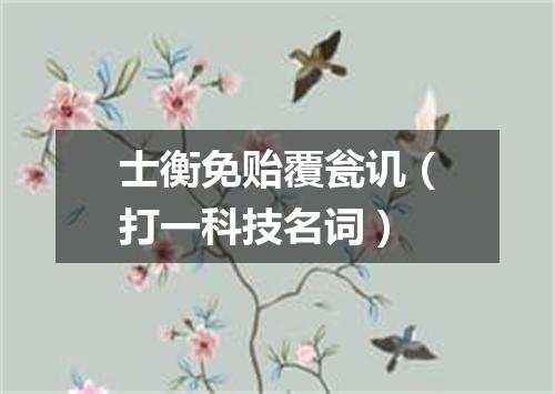 士衡免贻覆瓮讥（打一科技名词）
