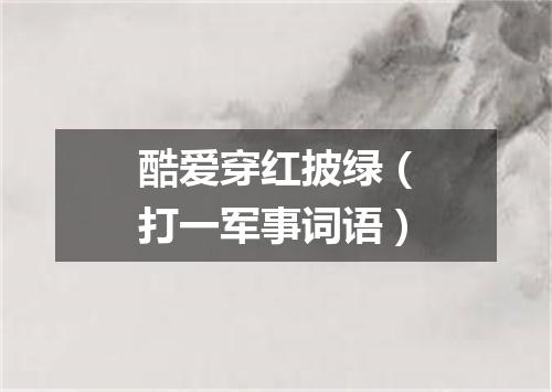 酷爱穿红披绿（打一军事词语）